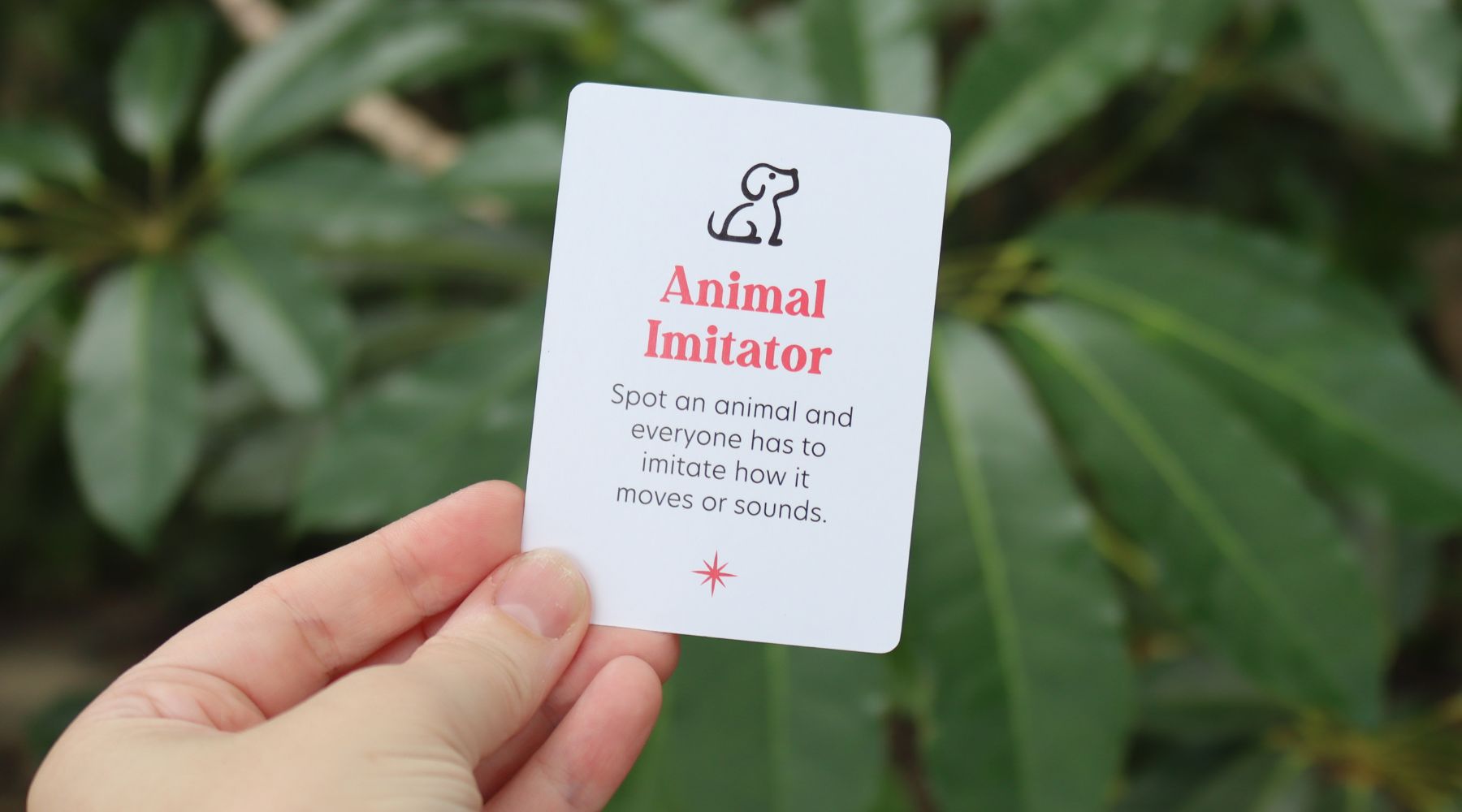 Be an Animal Imitator!