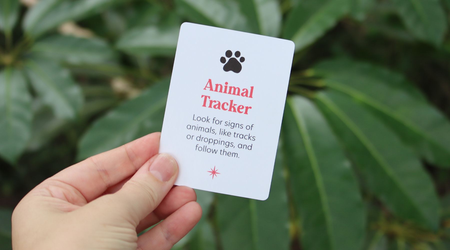 Animal Tracker Adventure: Follow the Signs of Wildlife!