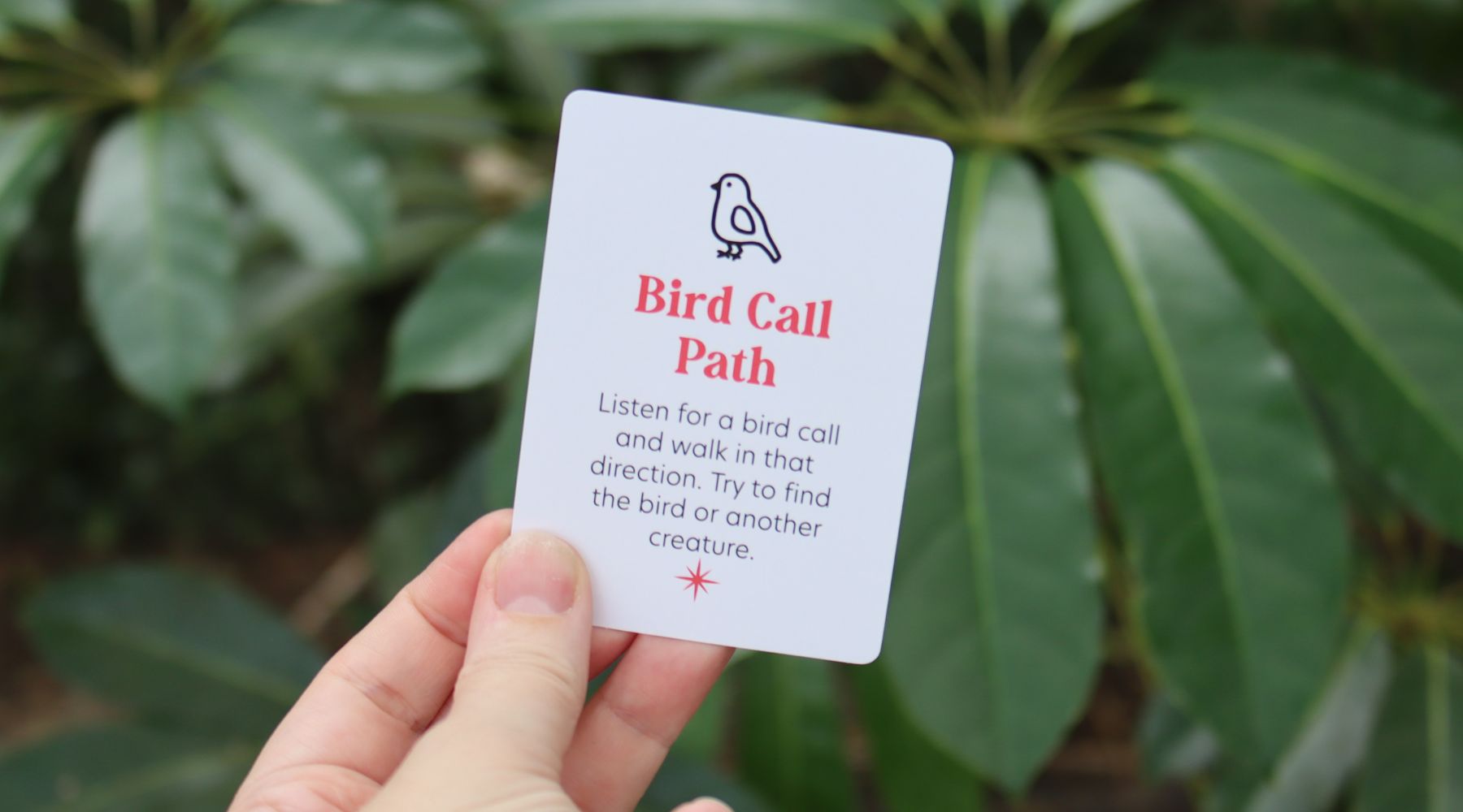Bird Call Path Adventure: Let’s Listen and Discover!