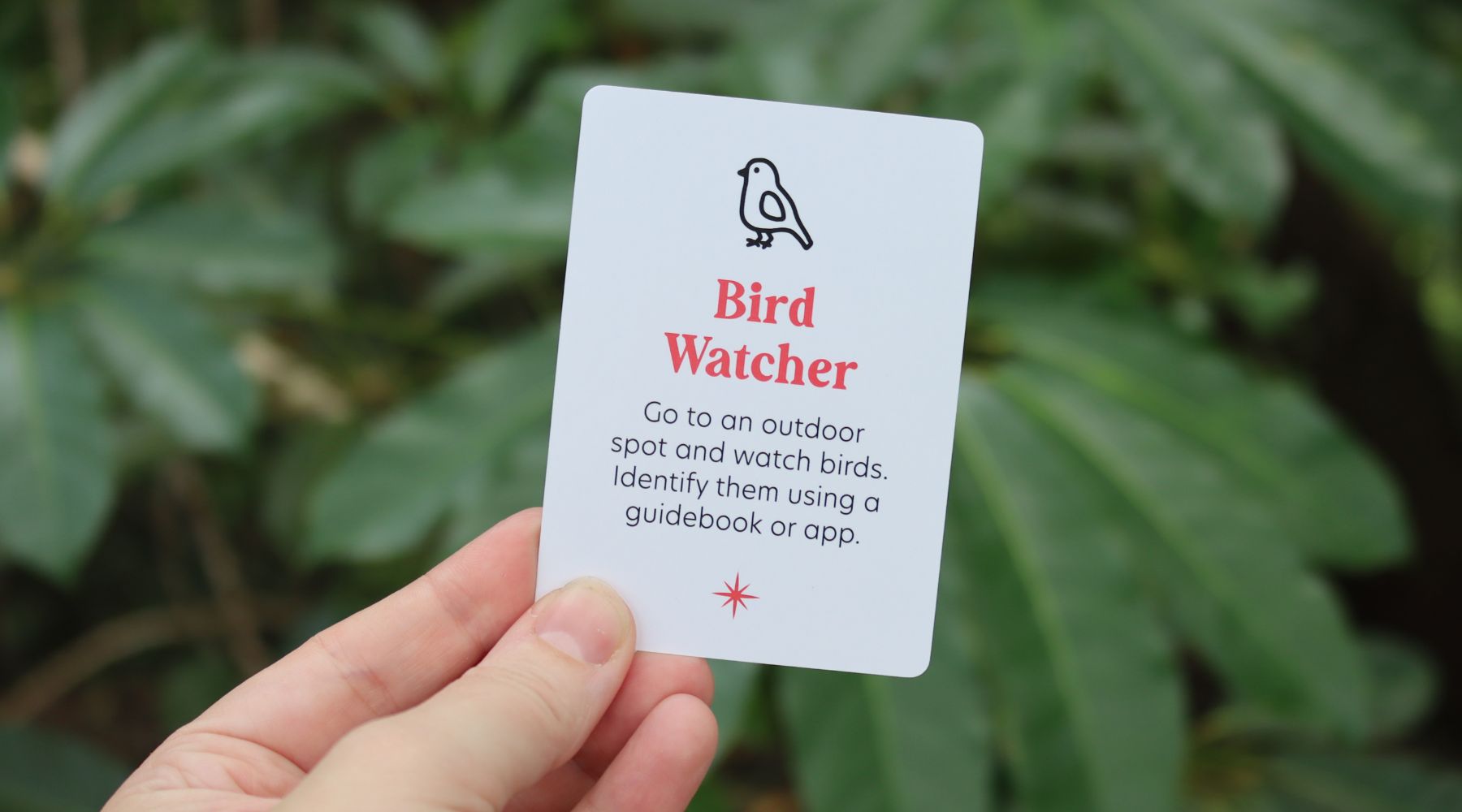 Bird Watcher Adventure: Explore the World of Birds!
