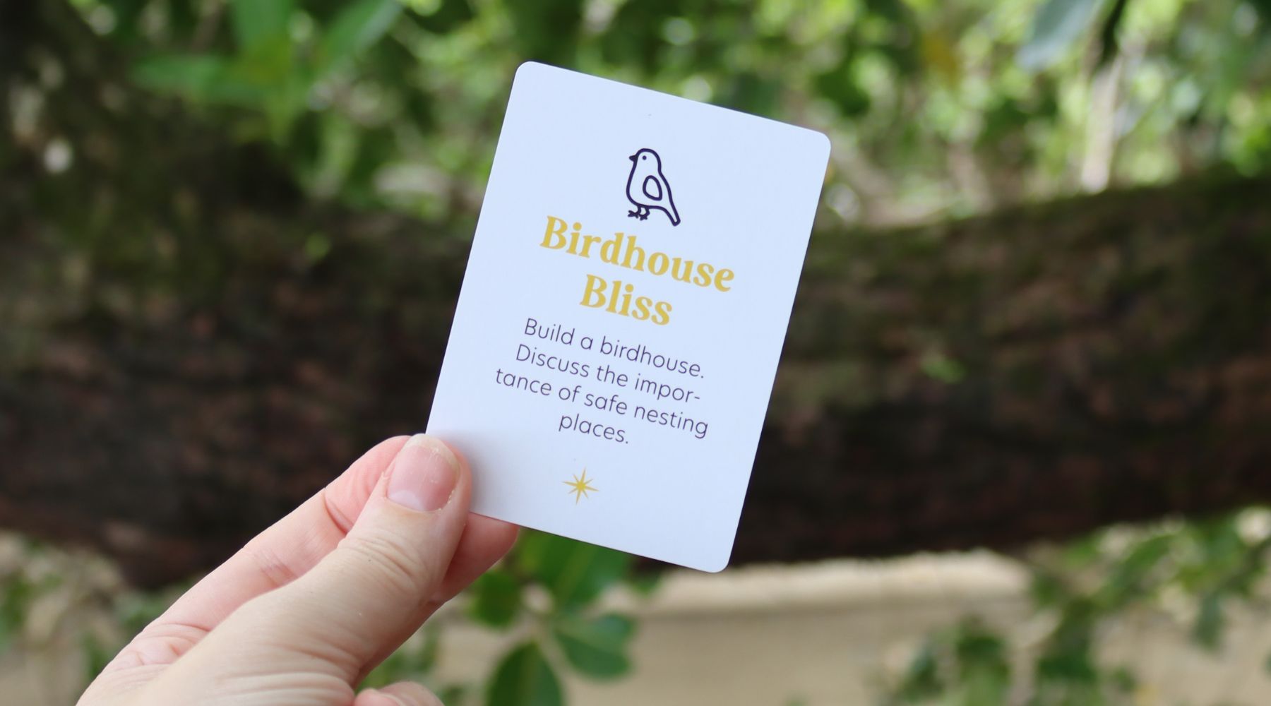 Birdhouse Bliss: Create a Cozy Nesting Place for Birds