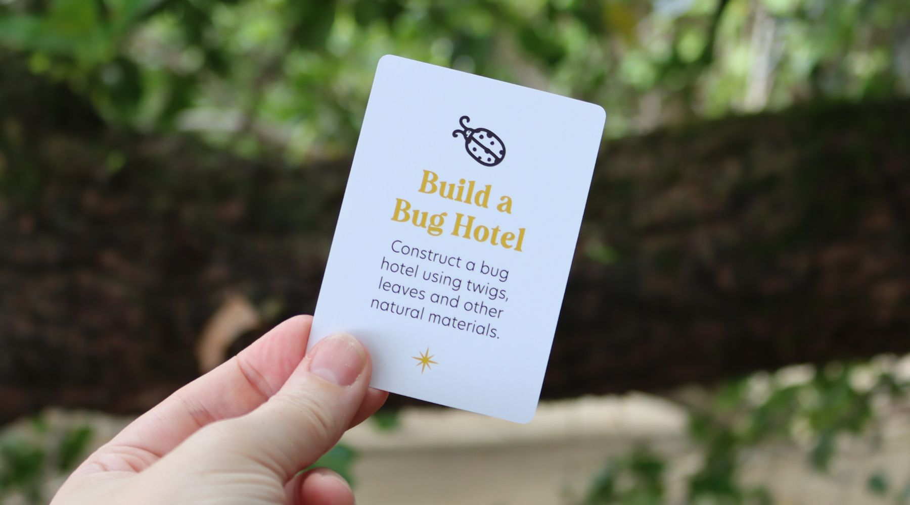 Build a Bug Hotel: Create a Cozy Home for Beneficial Insects