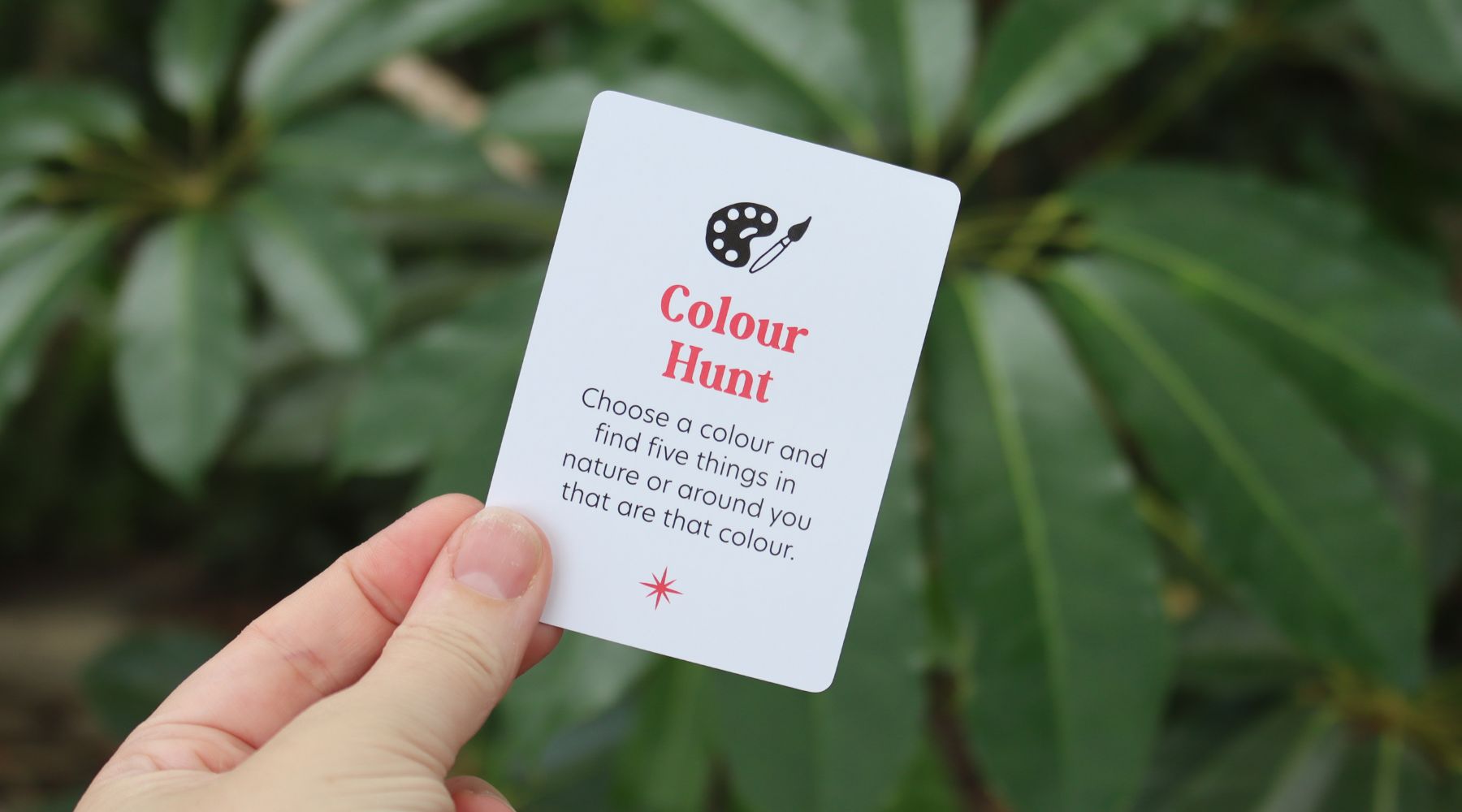 Go on a Colour Hunt!