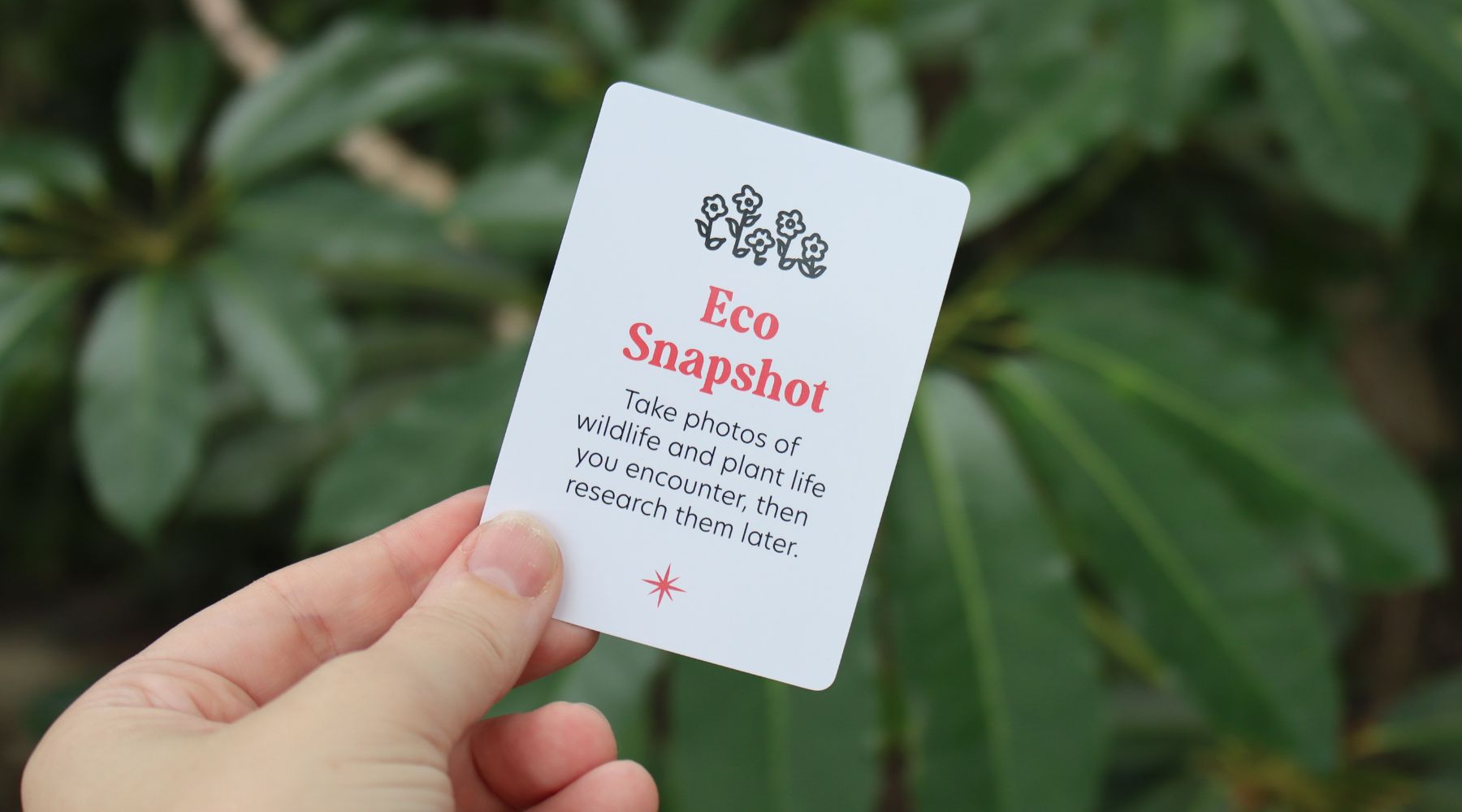 Eco Snapshot: Capture Nature and Discover Its Wonders!