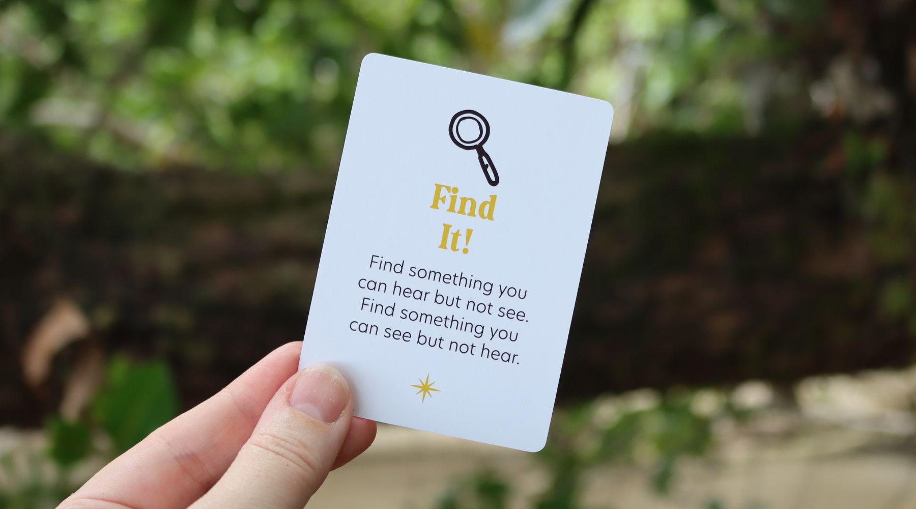 Find It! Discover the Hidden Wonders of Nature