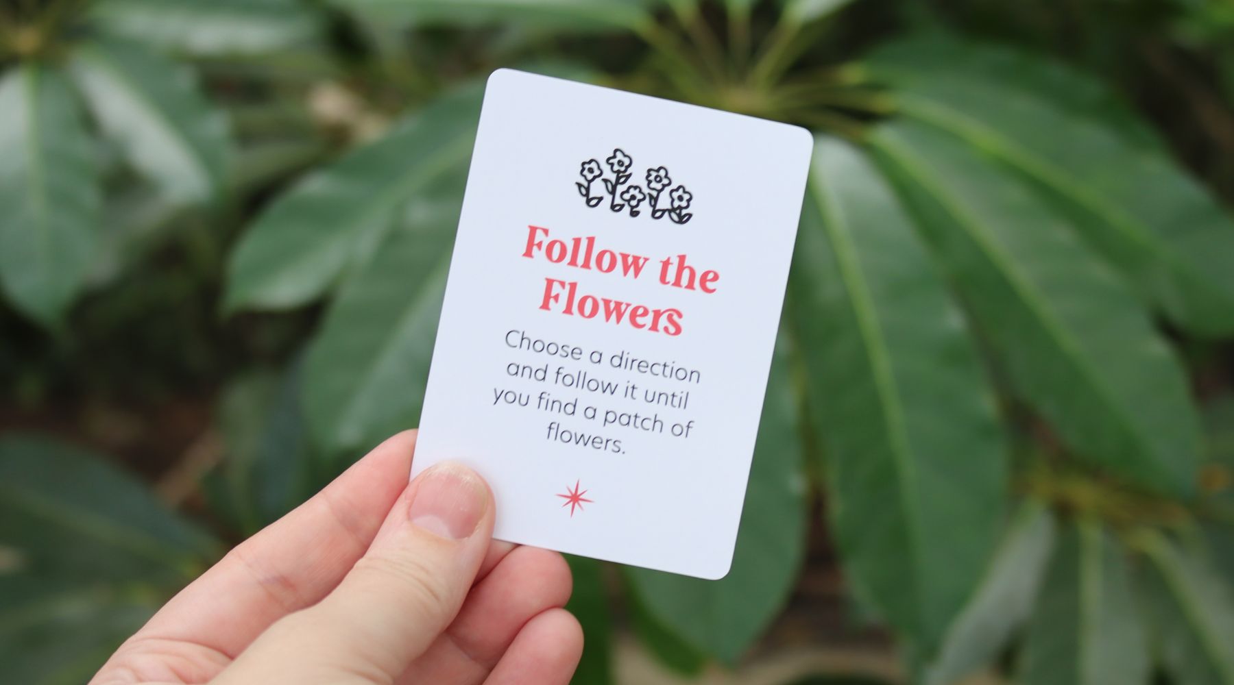 Follow the Flowers Adventure: A Colorful Journey!