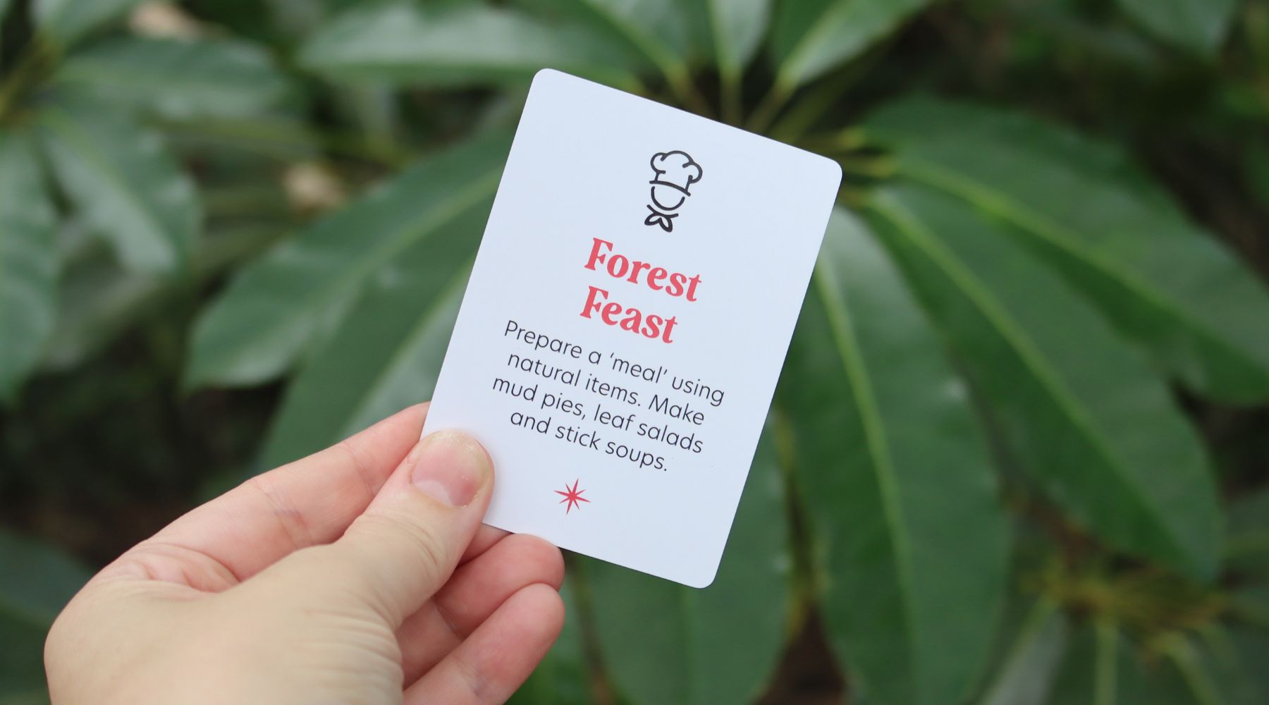 Forest Feast Adventure: Cooking Up Nature's Delights!