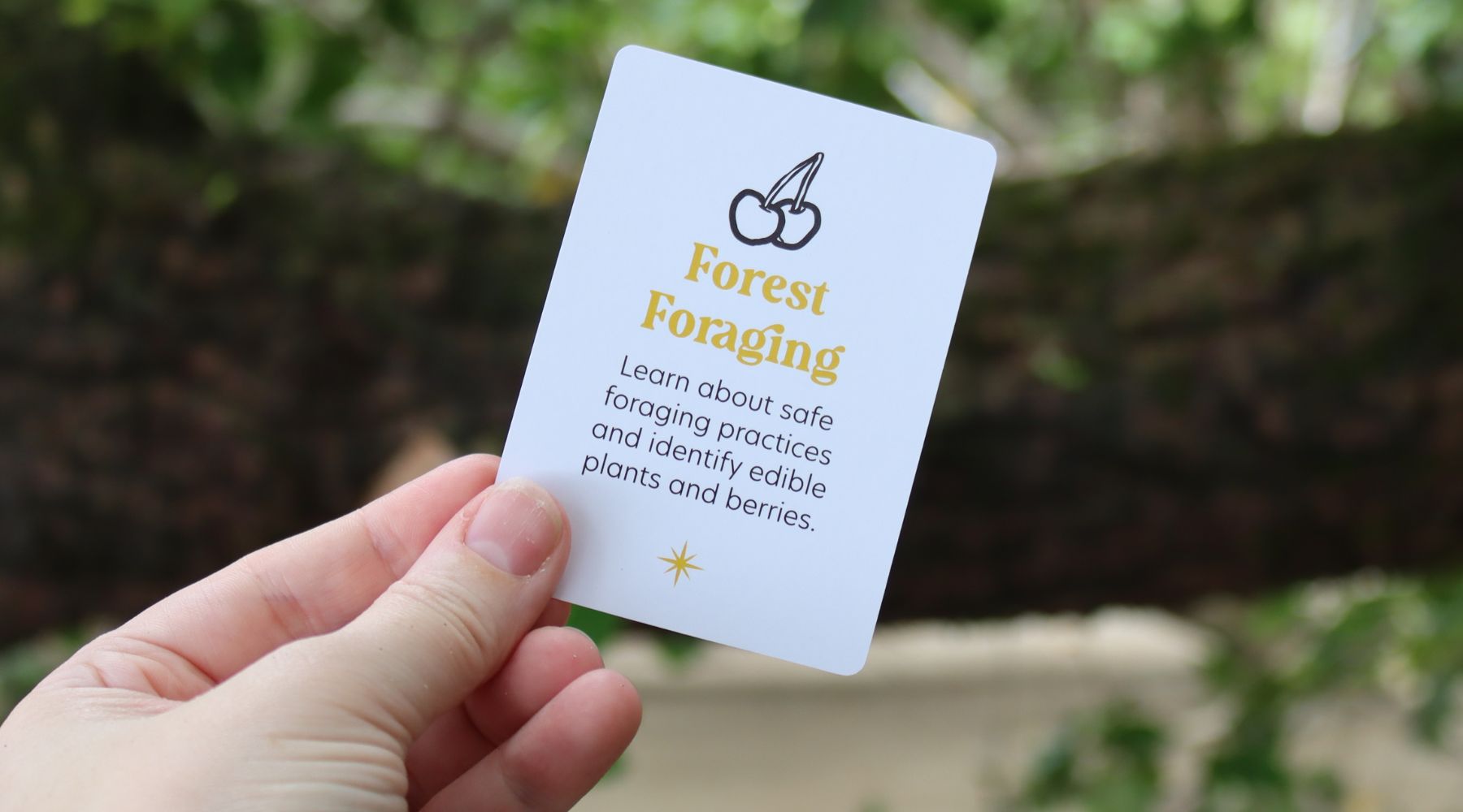 Forest Foraging: Learn Safe Practices and Identify Edible Plants and Berries