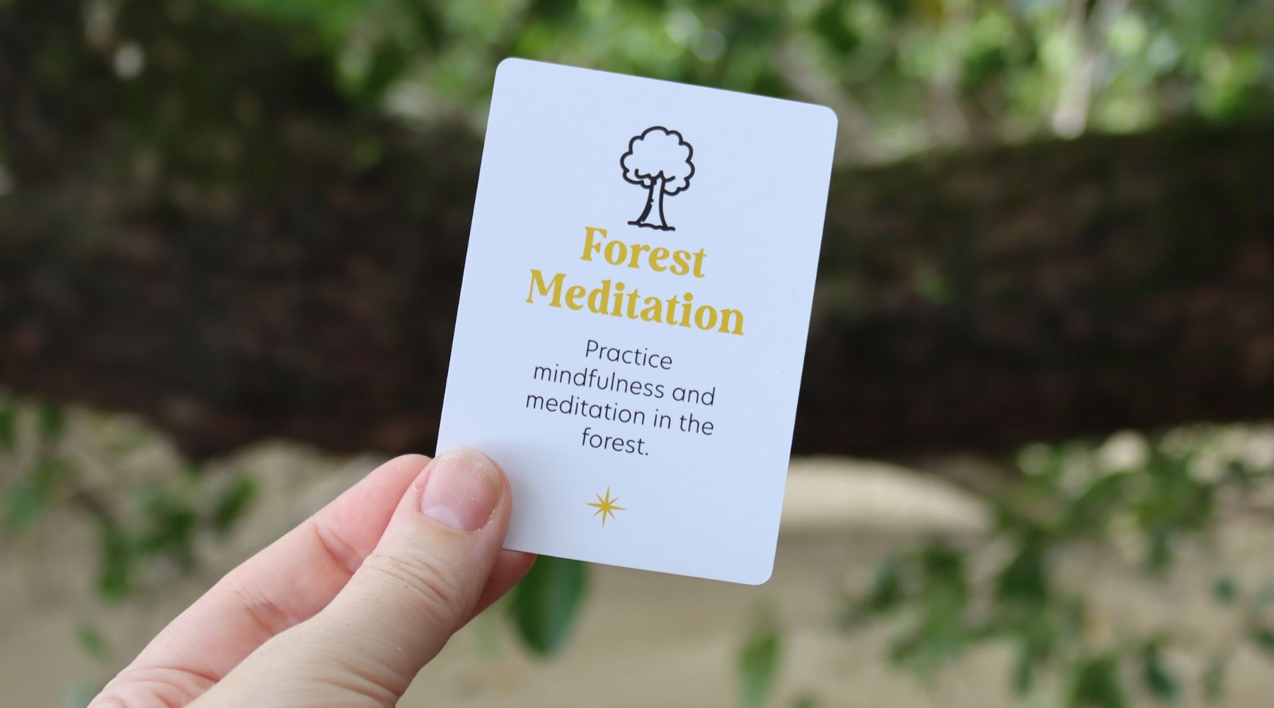 Forest Meditation: Finding Calm Among the Trees