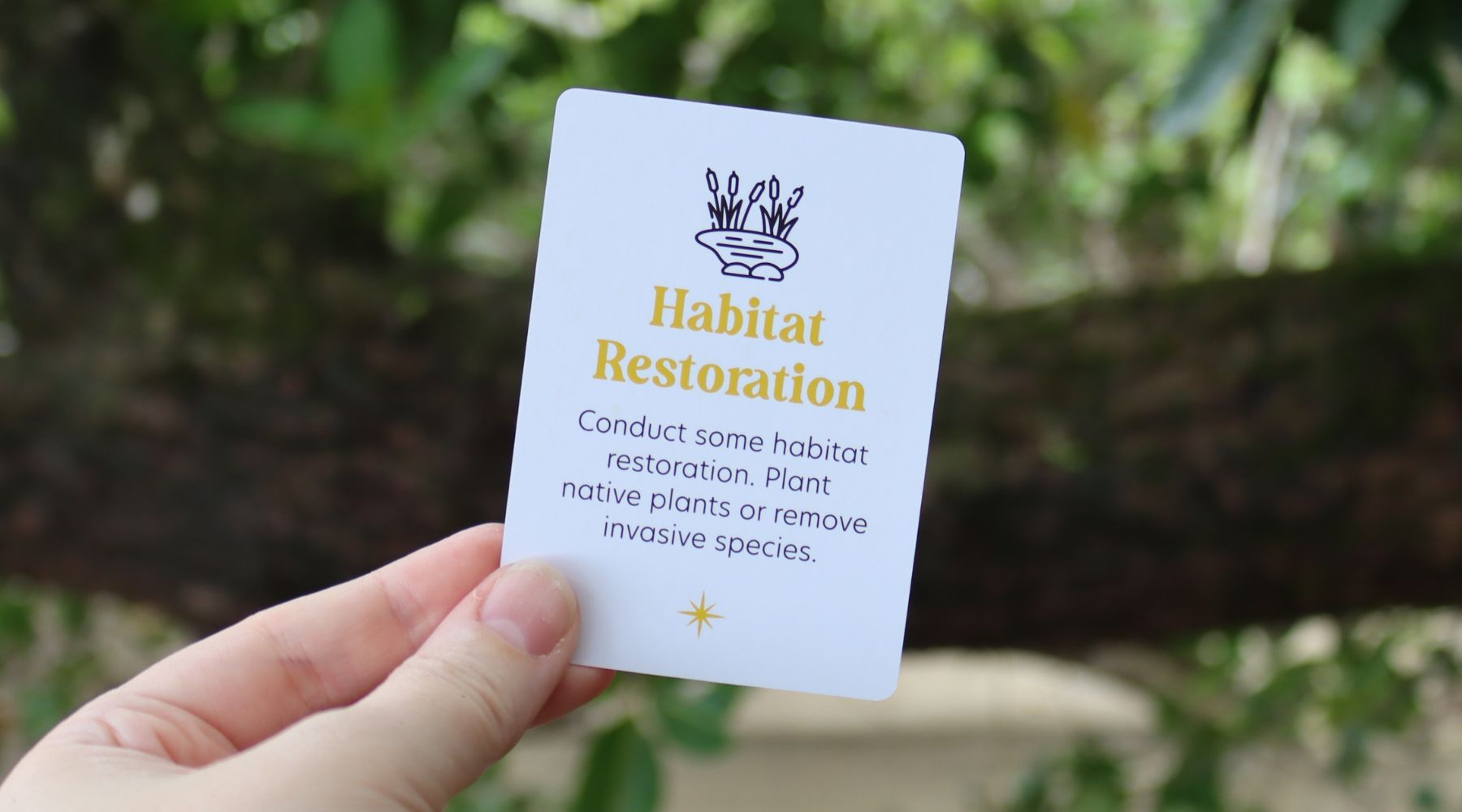 Habitat Restoration: Be a Nature Hero!