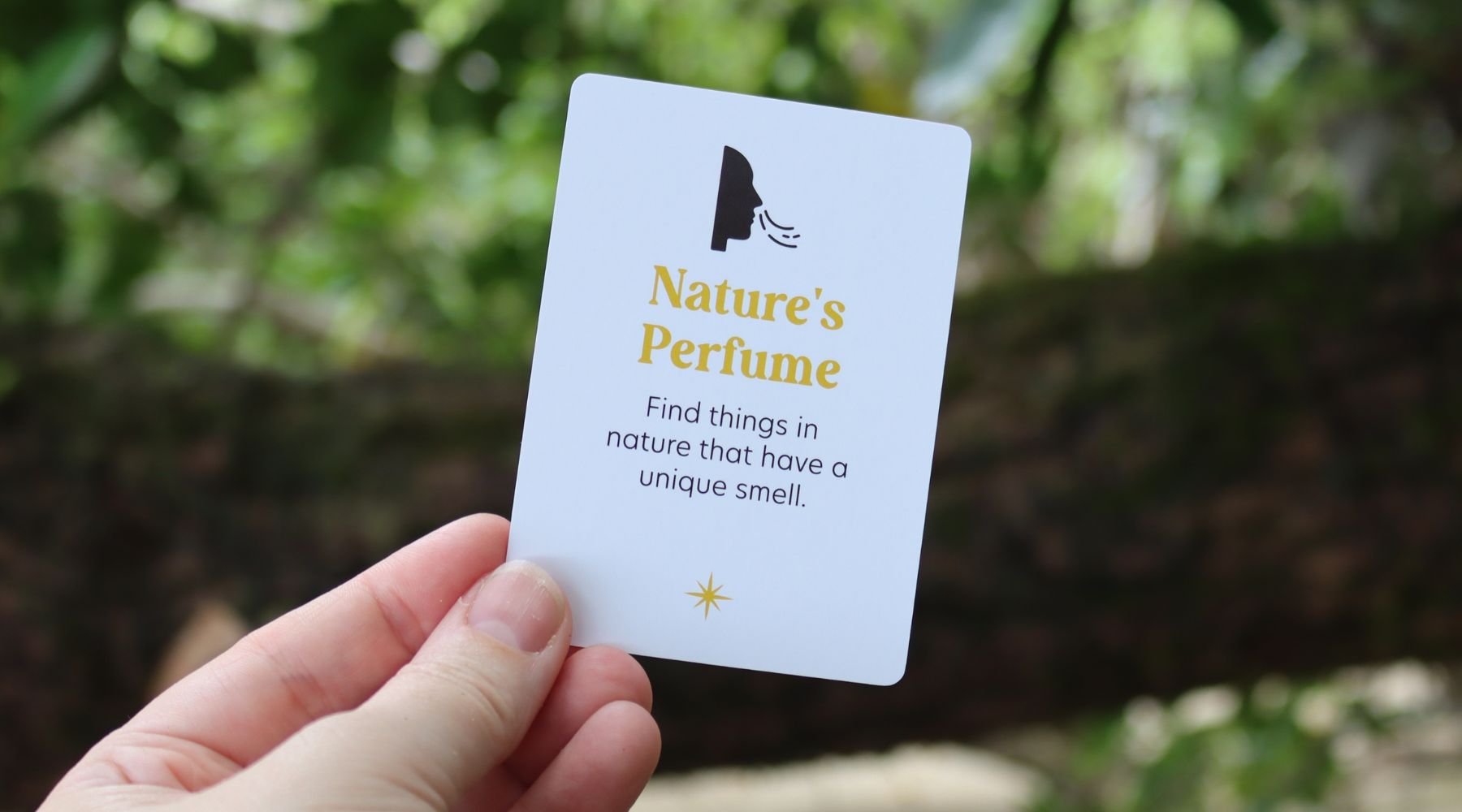 Nature's Perfume: Discover the Scents of the Great Outdoors