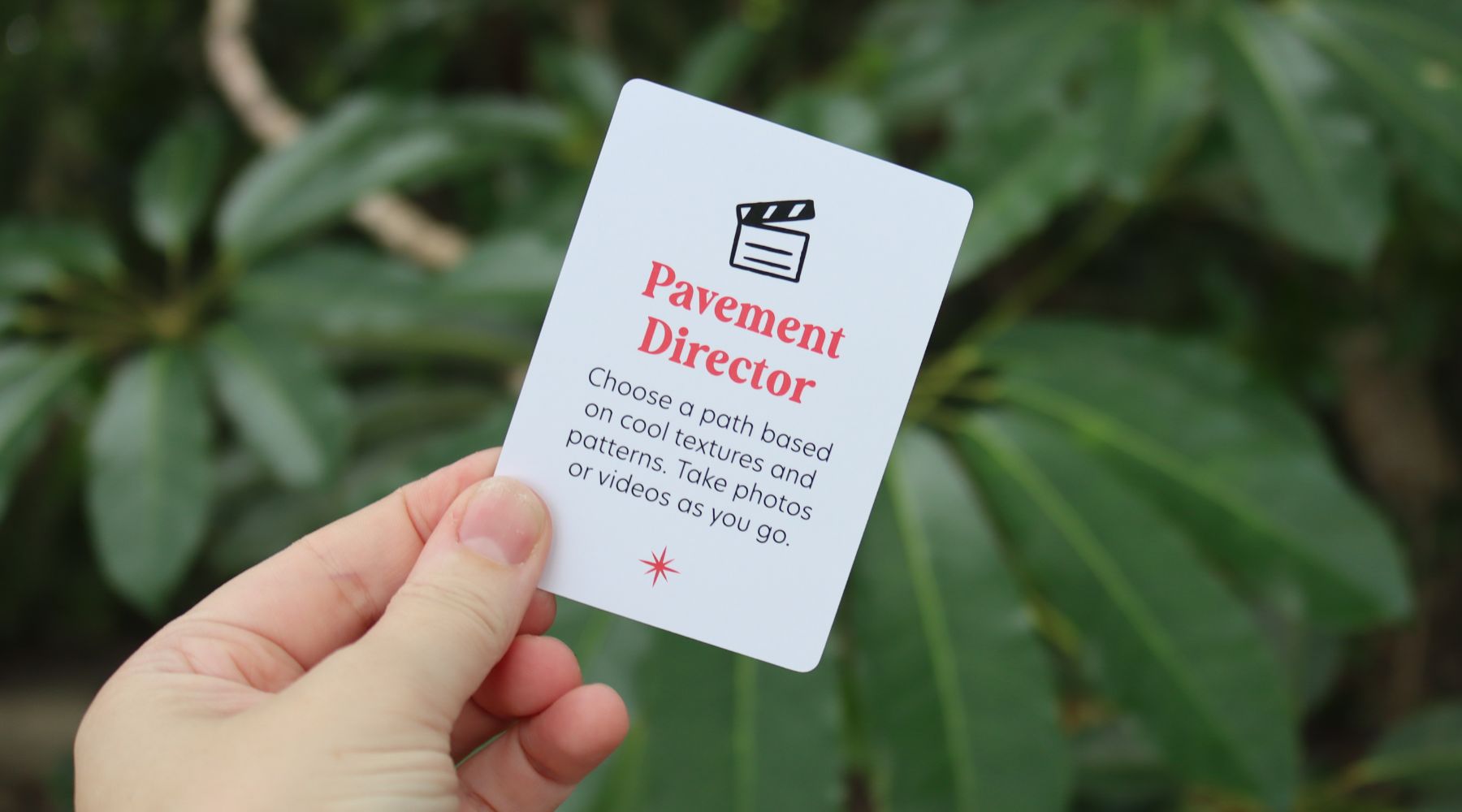 Pavement Director: Capture the Beauty of Textures and Patterns!