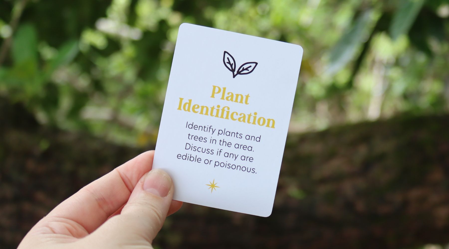 Plant Identification Adventure: Discover the Plants Around You!