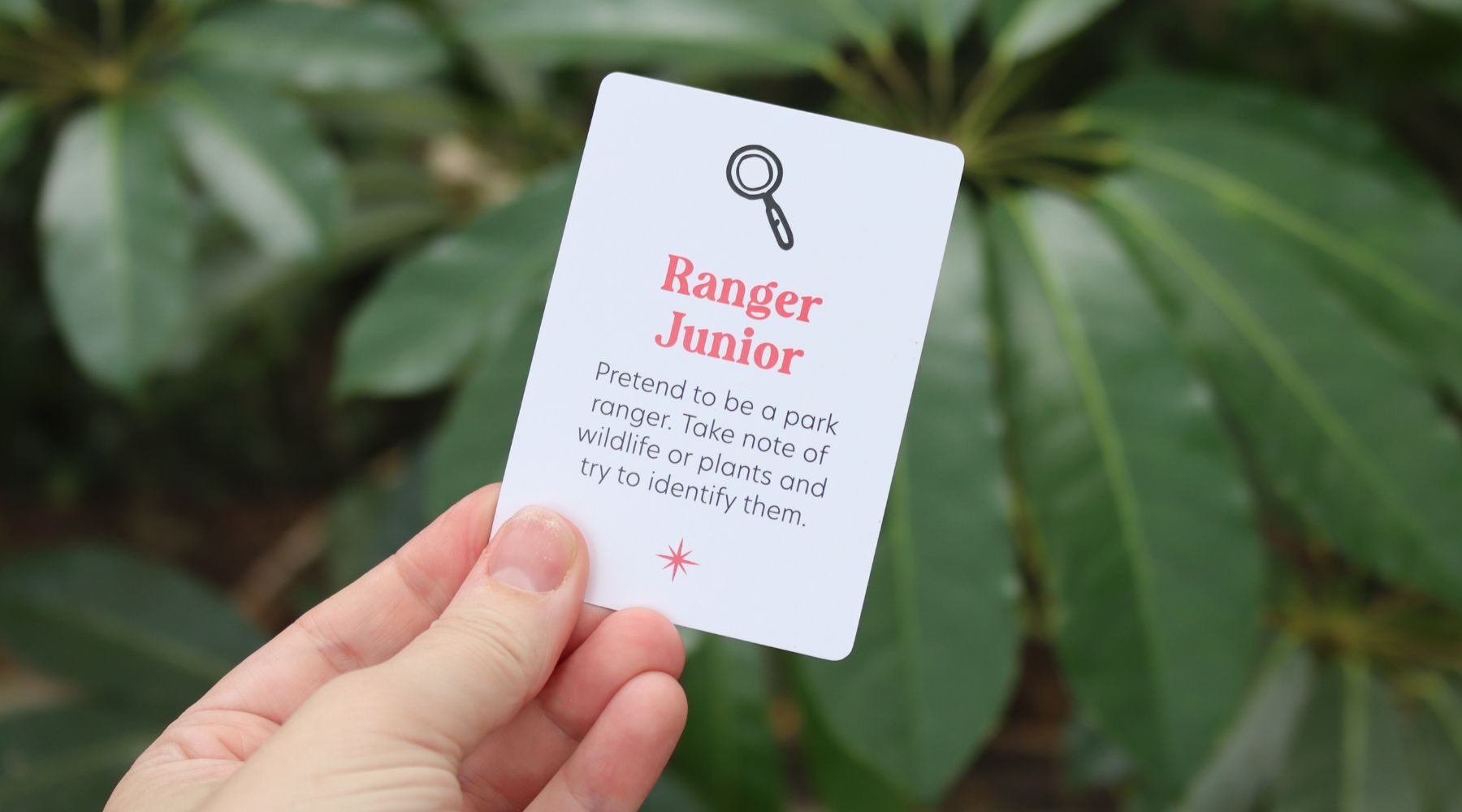 Ranger Junior Adventure: Become a Nature Detective!