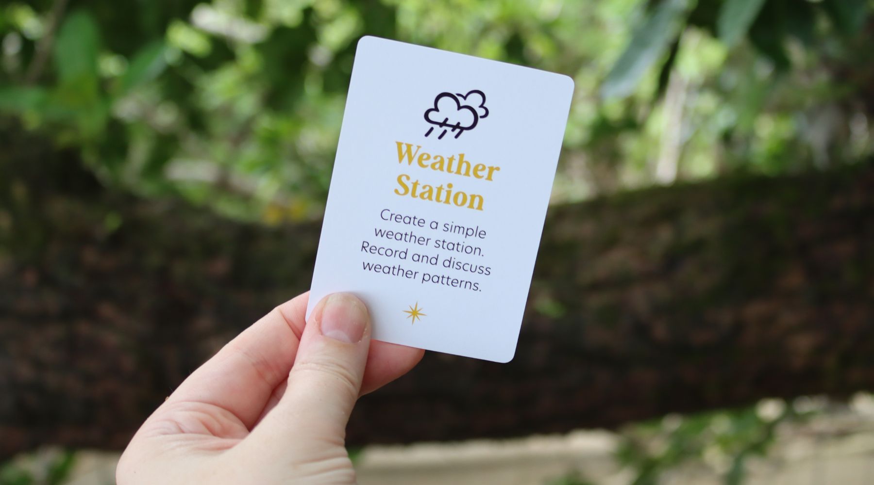 Weather Station: Create Your Own Weather Tracker!
