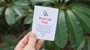 Bird Call Path Adventure: Let’s Listen and Discover!