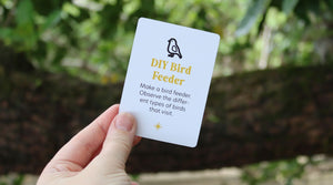 DIY Bird Feeder: Attract and Observe Birds Using Natural Materials