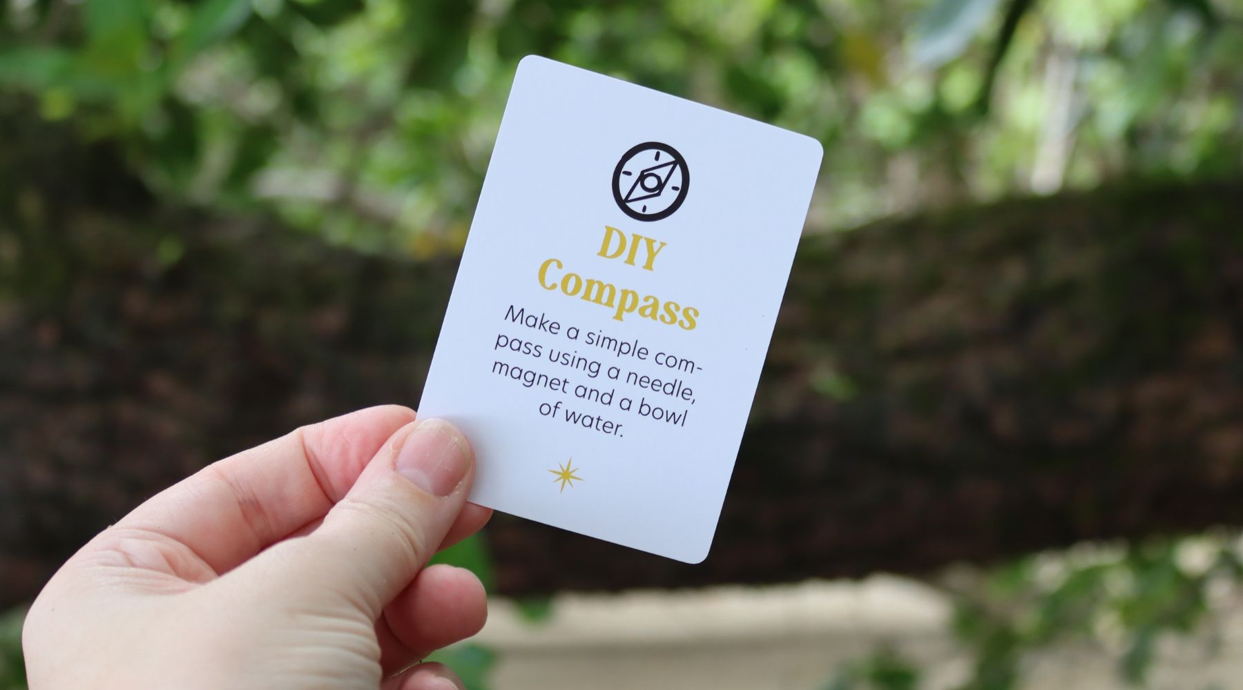 Diy Composs DIY Compass: Make Your Own with a Needle, Magnet, and Bowl of Water ...