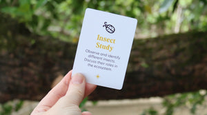 Insect Study: Observe, Identify, and Learn About Insects in Their Ecosystem