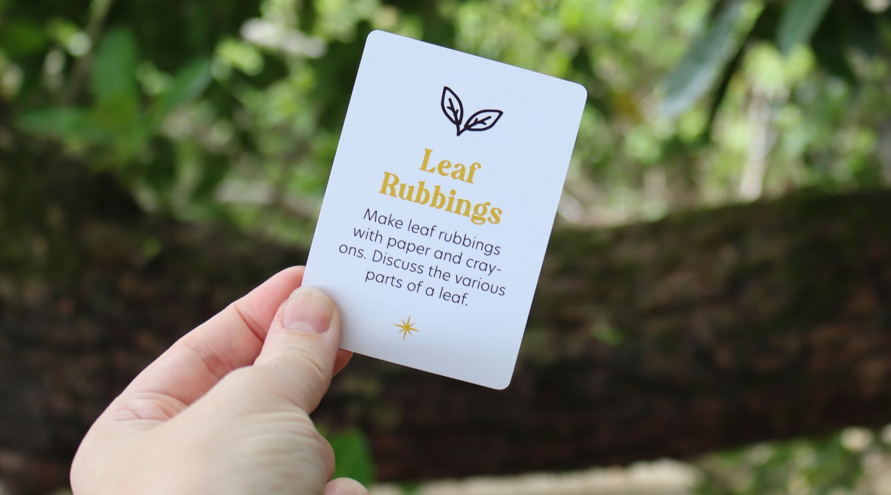 Leaf Rubbings: Discover the Parts of a Leaf Through Art