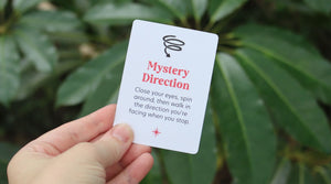 Mystery Direction Adventure: Spin and Explore!