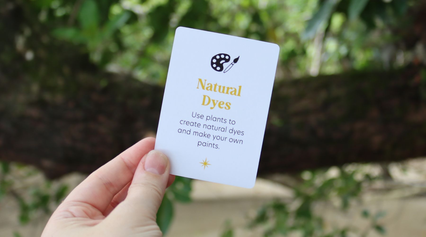 Natural Dyes: Creating Colorful Art from Nature