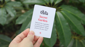 Secret Garden Adventure: Discover New Plants!