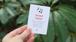 Sound Safari Adventure: Follow the Sounds of Nature!