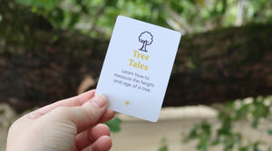 Tree Measurement Adventure: Discovering the Height and Age of Trees