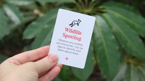 Wildlife Spotting Adventure: Discover the Animals Around You!
