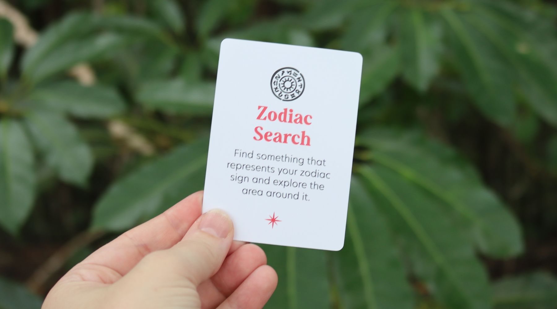 Zodiac Search - Discover the Stars in Nature!