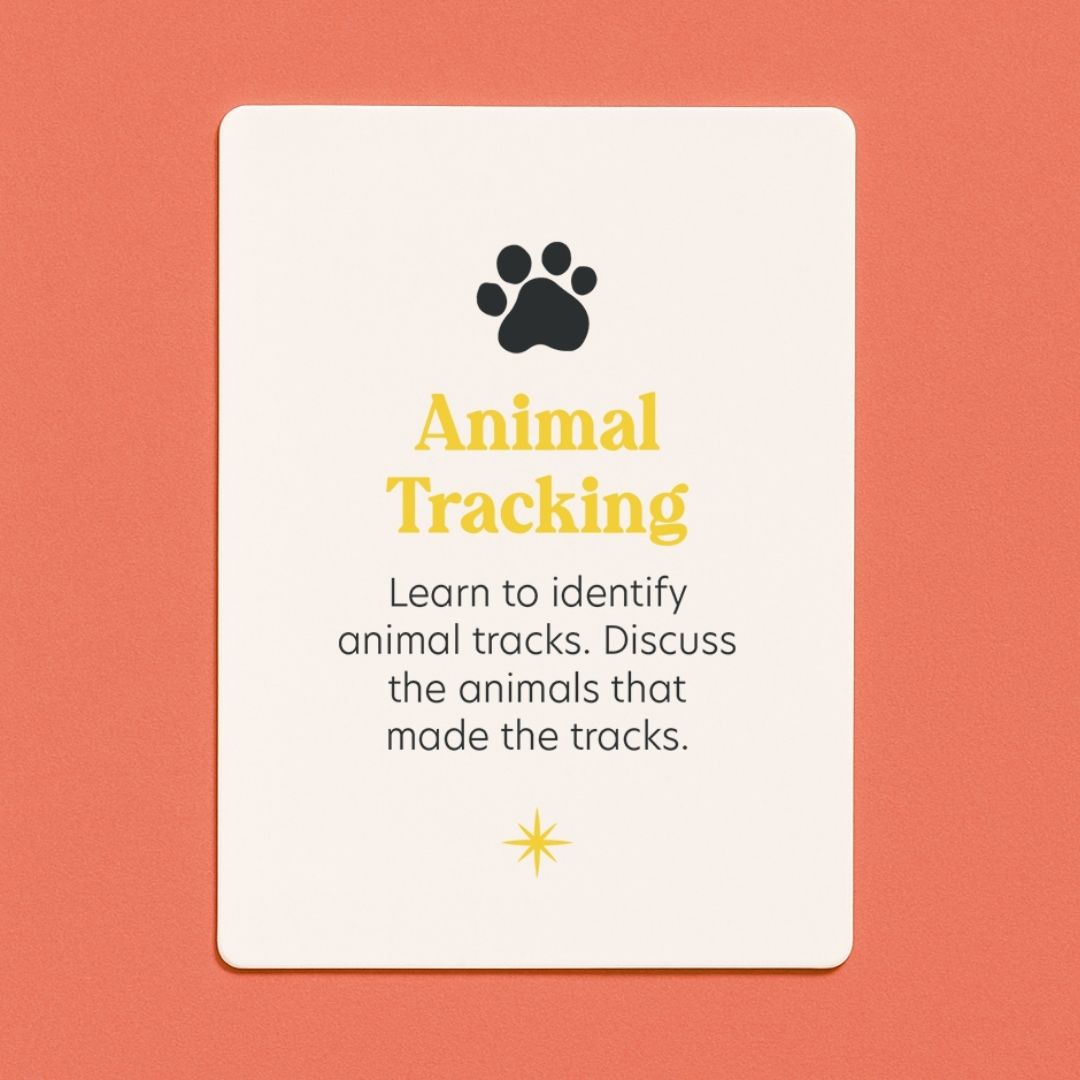 The Bush School Deck