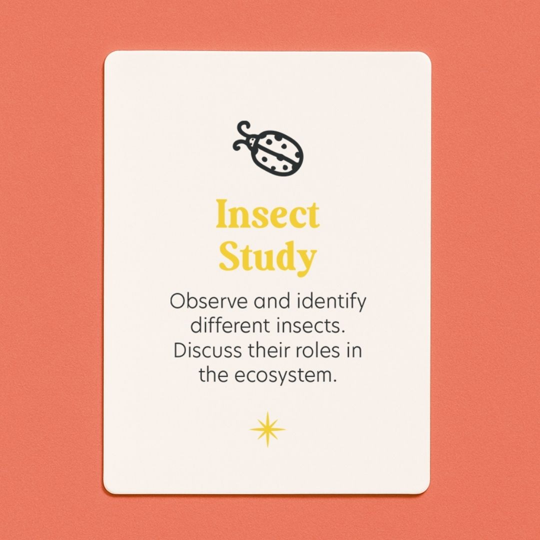 The Bush School Deck