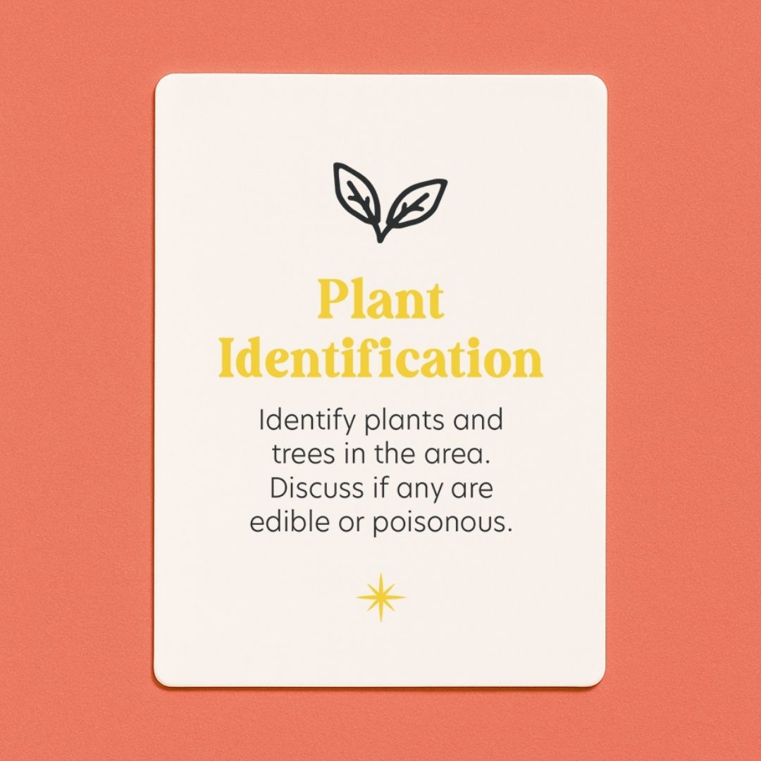 The Bush School Deck